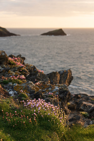 Stunning Summer sunset landscape image of Pentire Headland in Cornwall England with dramatic sky