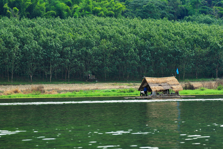 Rafting on the calm river with beautiful landscapeの写真素材