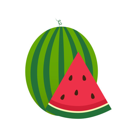 Vector illustration of Water melon with sliced water melonのイラスト素材