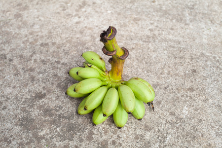 The little green of comb a banana keep on the floorの写真素材