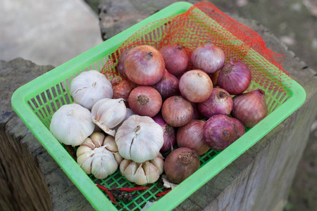 Garlic & Shallot are seasoning and ingredient for almost of Thai foodの写真素材