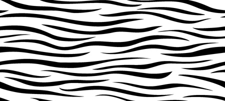 Zebra Stripes Patternのイラスト素材
