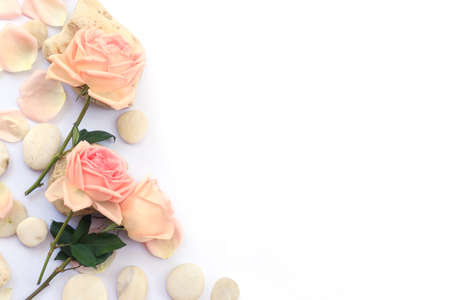 Flower and rose background. Pink roses and stones composition.  Roses and petals isolate on white background. Valentine day concept. Flat lay, top view, copy spaceの写真素材