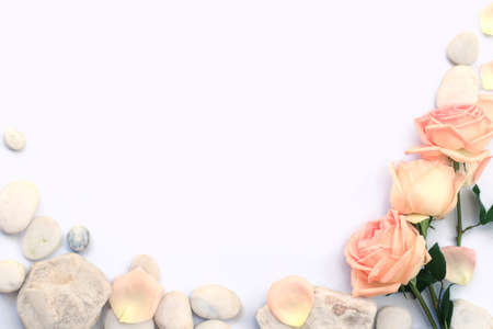 Flower and rose background. Pink roses and stones composition.  Roses and petals isolate on white background. Valentine day concept. Flat lay, top view, copy spaceの写真素材