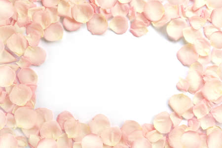 Romantic floral frame background.. Top view of pink rose petals on white background. Valentine's day concept.の写真素材