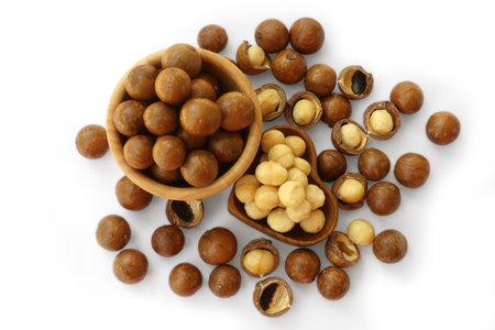Close up Macadamia nuts  isolate on white  backgroundの写真素材