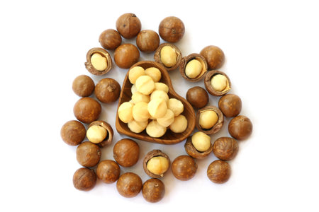 Close up Macadamia nuts  isolate on white  backgroundの写真素材