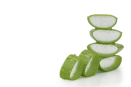 Aloe vera leaves with sliced isolate on white background. Front view. Copy space.の写真素材