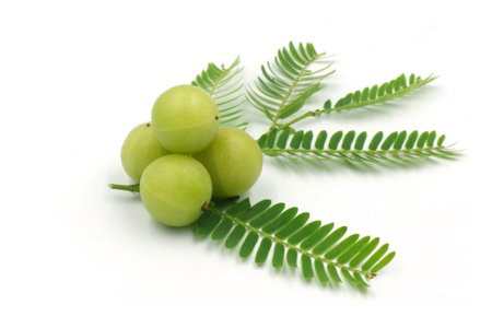 Indian gooseberry fruits or Amla ( phyllanthus emblica )  isolated on white background.の写真素材