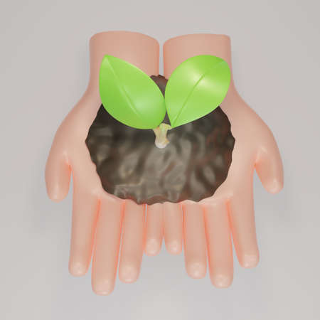 Two Hands holding young plants on the soil. Plant in hand on white background. Plant sapling on hand...
