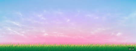 Fresh spring green grass under beautiful blue to pink sky. Nature background with green grass and pink sky. Vector illustration.のイラスト素材