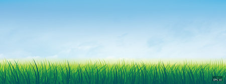 Fresh spring green grass under beautiful blue sky. Nature background with green grass and blue sky. Vector illustration.のイラスト素材