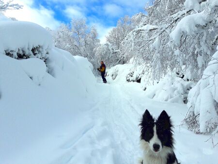 My human and meの写真素材