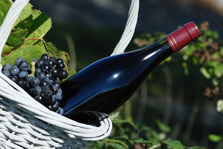 Bottle of red wine and grapes in basket の写真素材