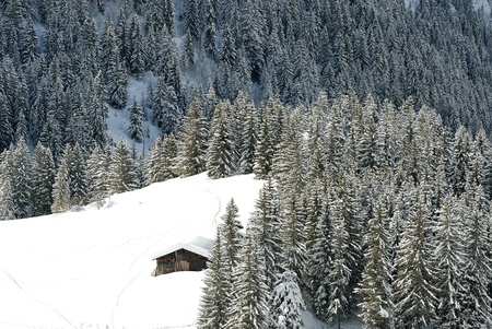 Chalet under the snow in french alps in winterの写真素材
