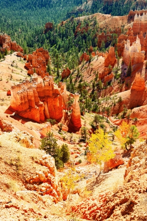 spectacular Hoodoo rock spires of Bryce Canyon, Utah, USAの写真素材