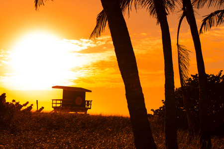 Miami South Beach sunrise with lifeguard tower and palm tree の写真素材