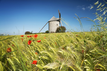France, the Moidrey windmill in Pontorson in Normandieの写真素材