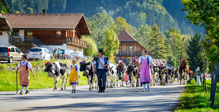 Charmey, Fribourg, Switzerland - SEPTEMBER 26 2015 : Farmers with a herd of cows on the annual transhumance at Charmey near Gruyeres, Fribourg zone on the Swiss alpsのeditorial素材