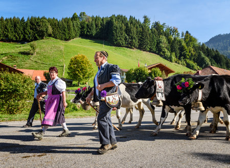 Charmey, Fribourg, Switzerland - SEPTEMBER 26 2015 : Farmers with a herd of cows on the annual transhumance at Charmey near Gruyeres, Fribourg zone on the Swiss alpsのeditorial素材