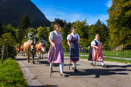 Charmey, Fribourg, Switzerland - SEPTEMBER 26 2015 : Farmers with a herd of cows on the annual transhumance at Charmey near Gruyeres, Fribourg zone on the Swiss alpsのeditorial素材