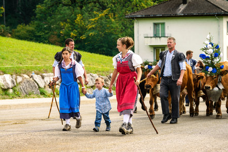 Charmey, Fribourg, Switzerland - 26 September 2015 : Farmers with a herd of cows on the annual transhumance at Charmey near Gruyeres, Fribourg zone on the Swiss alpsのeditorial素材