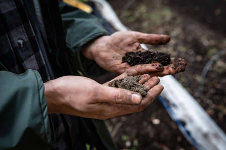 a man farmer analyzes the fertility of the land in his hands