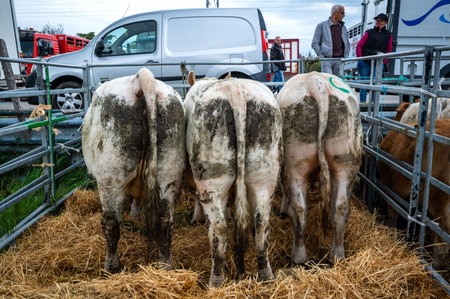 Beaucroissant, Isere, Rhone Alpes Auvergne, France April 22 2023: Famous fair of Beaucroissant, the oldest fair of France since year 1219のeditorial素材