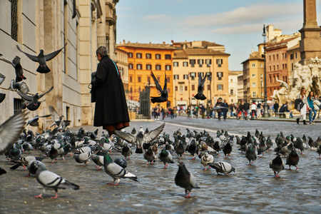 Pigeons living in the historical center