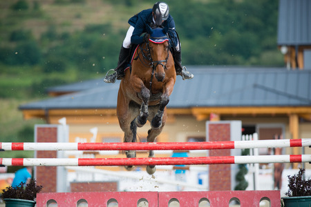 PEZINOK, SLOVAKIA - JULY 29  Petr Kuba on horse Zancara jumps over hurdle on Rozalka Cup 2014 on...