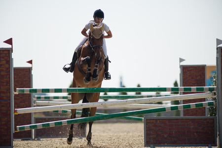 PEZINOK, SLOVAKIA - JULY 29  Veronika Jelinkova  CZE  on horse Milly jumps over hurdle on Rozalka Cup 2014 on July 29, 2014 in Pezinok, Slovakiaのeditorial素材