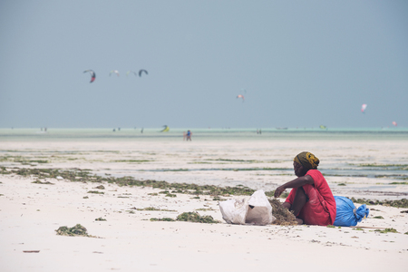 PAJE, ZANZIBAR - DEC 23, 2017: Local woman sorting cultivated seaweed on sandy beach of Zanzibar island, near Paje villageのeditorial素材