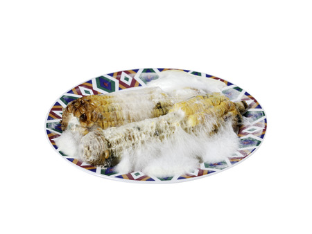 Rotten grilled corn with fungus isolated on whiteの写真素材