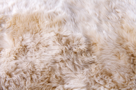 close up texture of fur carpet for backgroundの写真素材
