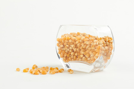 yellow corn seed for popcorn in a glass bowl on white backgroundの写真素材
