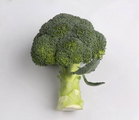 Fresh broccoli isolated on white backgroundの写真素材