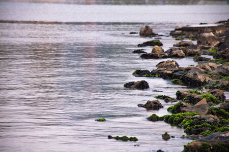 mossy stone in the sea