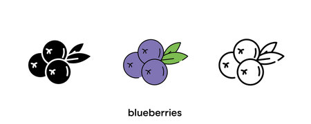 Blueberries icon design. Blueberries icon set in silhouette, colored and linear. Blueberries icon line vector illustration isolated on a clean background for your web mobile application logo design.のイラスト素材
