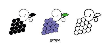 Grape icon design. Grape icon set in silhouette, colorful and linear. Grape icon line vector illustration isolated on a clean background for your web mobile application logo design. line art.のイラスト素材