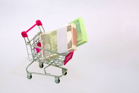 Indian rupees in shopping cart isolated on white backgroundの写真素材