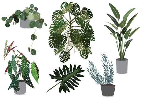 Collection of leaves.のイラスト素材