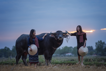 Asian woman playing with a buffalo in his field.の写真素材