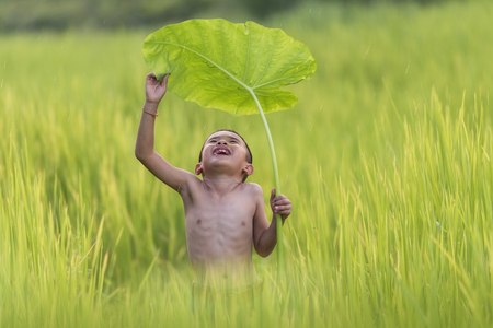The young students are reading books to prepare for the exam.の写真素材