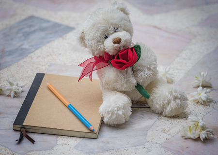 Teddy bear and diary for a memoir .の写真素材