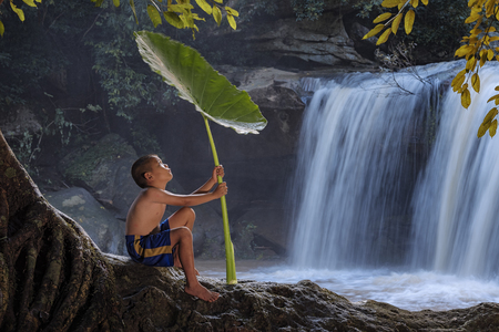 Childrens  playing in the creek water happily,Children fishing in the river,The boys are enjoying playing the stream.の写真素材