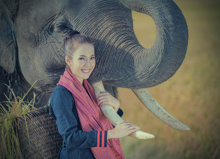 Thailand shows playing with an elephant ,Thai woman with elephant.の写真素材