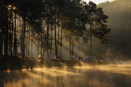 View of mountains, winter landscape with foggy hills at sunrise.の写真素材