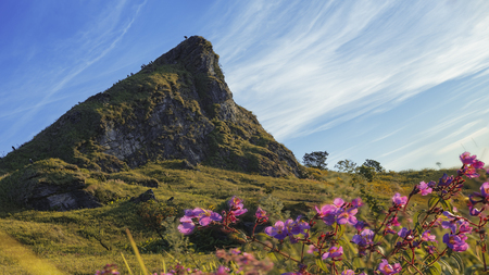 Sunrise in the mountains landscape and dramatic sky.Beautiful pink flowers in front of mountains, a strange shapes.の写真素材