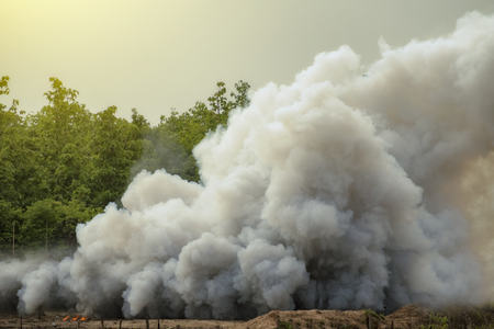 Dense white smoke rising from the raging wildfire,smoke background,close up swirling white smoke background.の写真素材