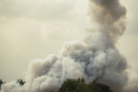 Dense white smoke rising from the raging wildfire,smoke background,close up swirling white smoke...